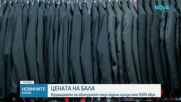 Колко струва изпращането на един абитуриент