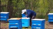 Пчеларите се подготвят за сезон