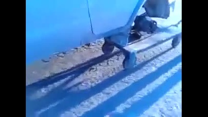 Руските луди идеи , нямат край! Смях!