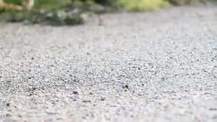 Ken Block - откача