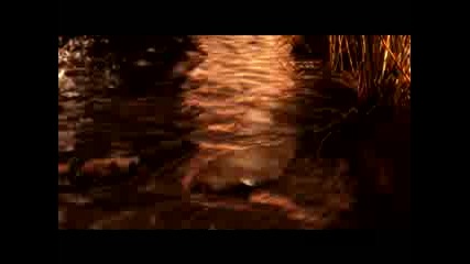 Far Cry 2 E3 Trailer