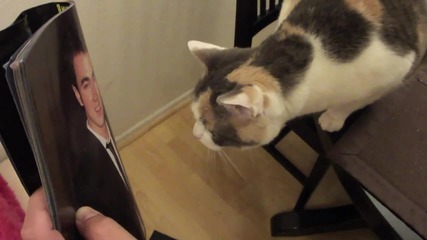 Cat Hates Justin Bieber (official video) 