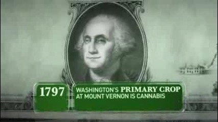 History of Weed