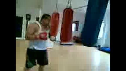 ali borba 