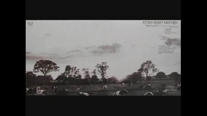 Pink Floyd ~ Morning Glory 