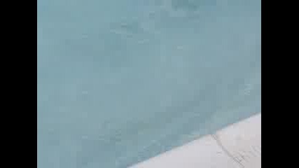 Baby Pool