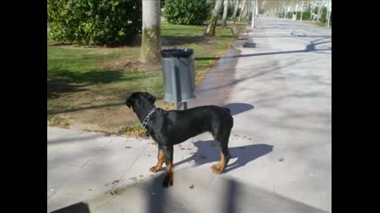 I Love Maiki