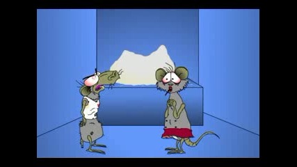 Rats On Cocaine - Part 4 - Maze