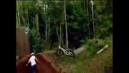 Downhill Exrime Freeride 