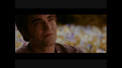Twilight boys