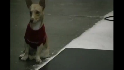 Under Pressure Episode 8 - Outtakes Last Episode 