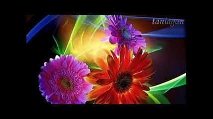 Just Another Woman In Love - Anne Murry (превод)