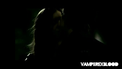 Damon and Elena _ Best Scenes (delena love)