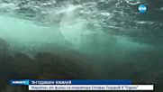 70-ГОДИШЕН ЮБИЛЕЙ: Маратон от филми на оператора Стефан Тодоров