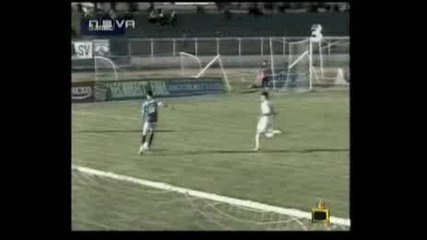 Българската Кама Сутра