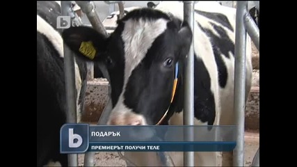 Теле Бойка за Бойко Борисов
