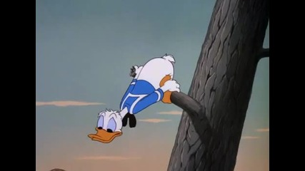 Donald Duck - Lion Around