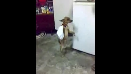 Кучешко Хоро