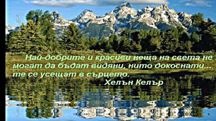 Честит рожден ден, Вики