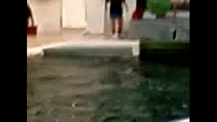 Delfinariuma 3