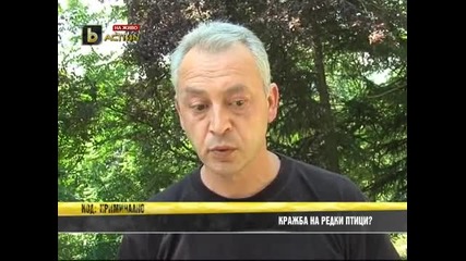 Цигани крадат скъпи фазани от зоопарк, граничещ с циганска махала?