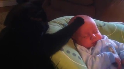 Коте успокоява плачещо бебе