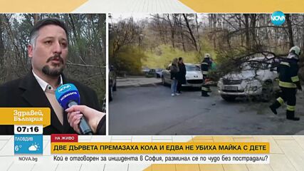 Дървото, премазало кола в София: Сигналът от 112 не е подаден до отговорните институции