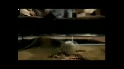 Том И Джери