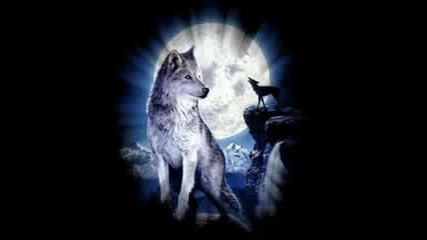 Bate Pe60 & Tina - Wolf