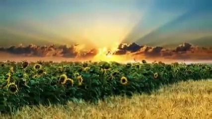 Несе Галя воду (nese Halya - Ukrainian folk song