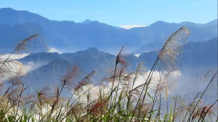 Bandari - Good Morning Sunshine