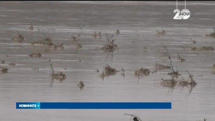 Отново воден хаос в Мизия