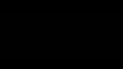 * Cinema 2009 *