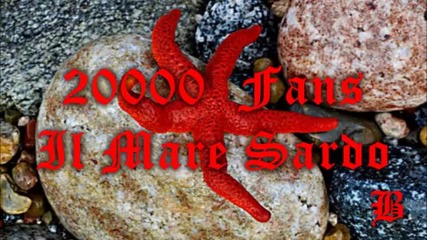 20000 Fans - Il Mare Sardo