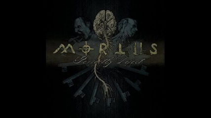 Mortiis - Closer To The End 