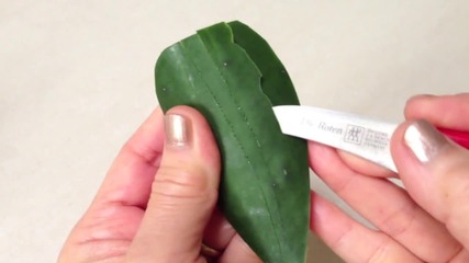 Simple Leaf Cucumber - Lesson 23 by Mutita Art of Fruit Vegetable Carving - www.uget.in