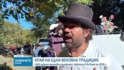 Нова забрана премахва разходките с файтони в Ню Йорк от 2028 г.
