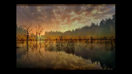 Лазурно синьо. Мариус Куркински