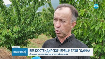 Новините на NOVA (25.05.2025 - обедна емисия)