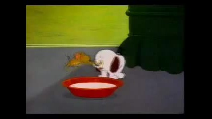 Tom and jerry Part 11