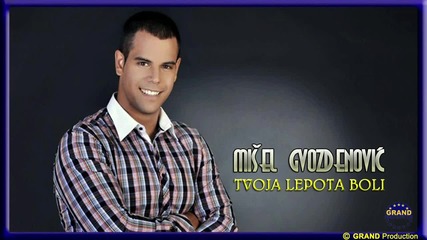 Misel Gvozdenovic - Tvoja lepota boli (2012)