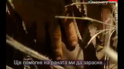 Оцеляване на предела - Кения - Ultimate Survival - Kenya (част 1#2) (bg subs) 