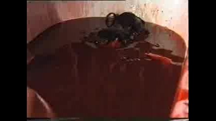 Cradle Of Filth - Blood Bath