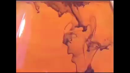 Mgmt electric feel video 