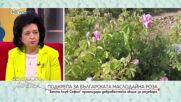 Доброволческа акция в подкрепа на маслодайната роза
