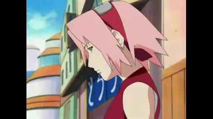 Sakuras Sugar Baby