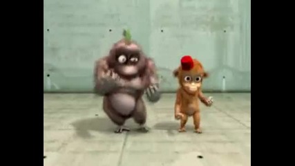 video divertenti