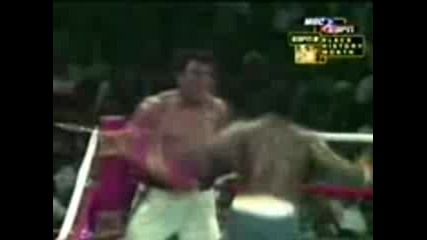 Top 5 Greatest Left Hooks Ever