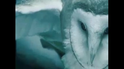 Within Temptation - Mother Earth 