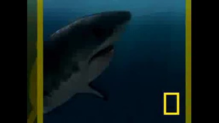 National Geographic - Морски чудовища 2